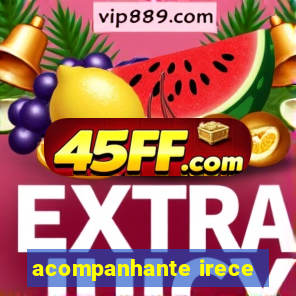 acompanhante irece